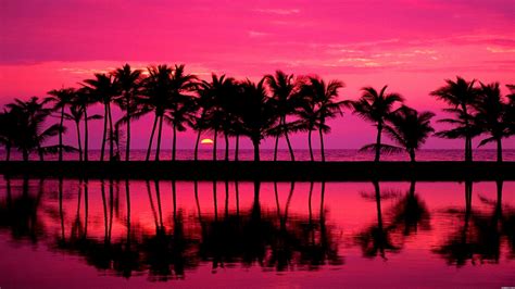 Beautiful Pink Beach Sunset Download Wallpapers