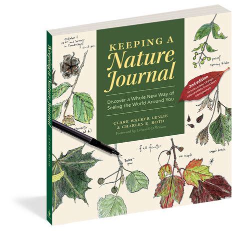 Keeping A Nature Journal — Natures Workshop Plus