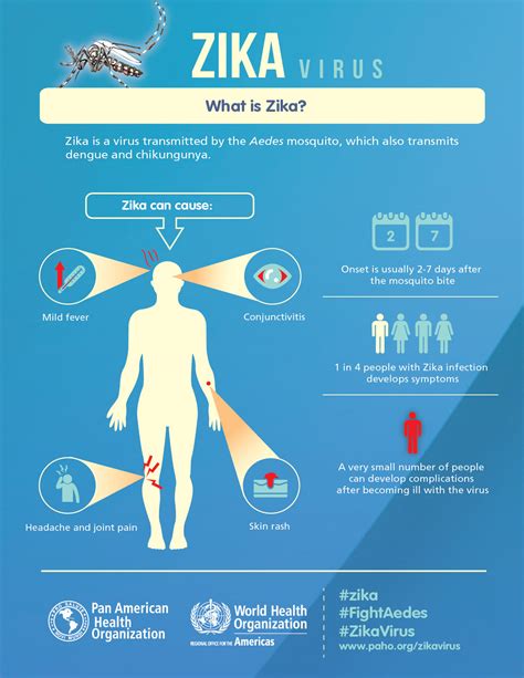 How Can Viruses Like Zika Cause Birth Defects Science Smithsonian