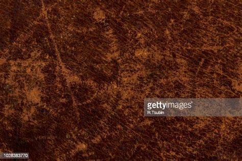 Mottled Skin Photos And Premium High Res Pictures Getty Images