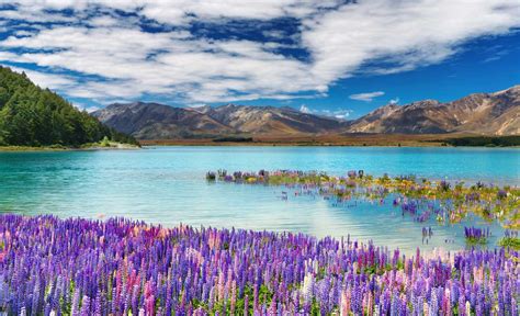 Why You Should Go Backpacking In New Zealand