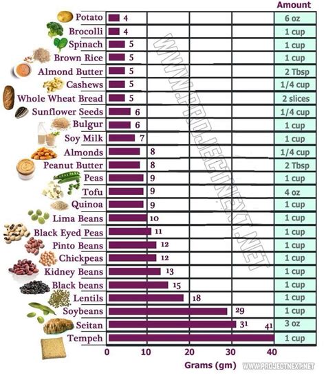 Grams Needed Per Day Vegetarian Protein Sources Vegetarian Vegan