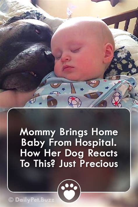Mommy Brings Home Baby From Hospital How Her Dog Reacts To This Just