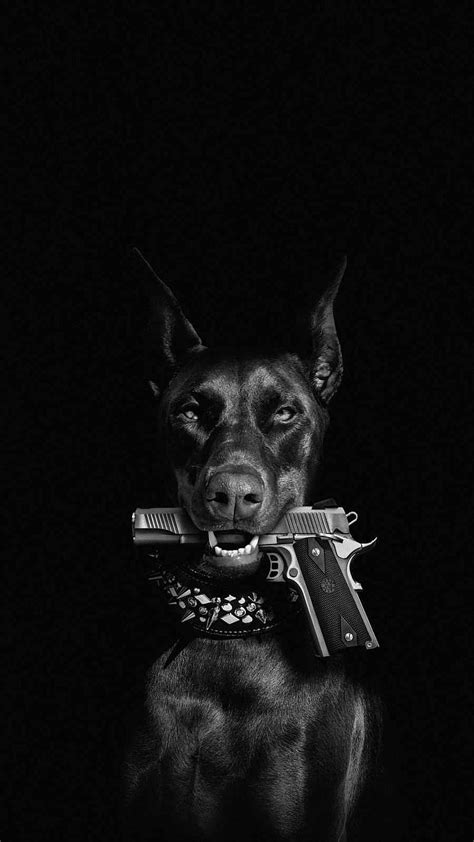Pitbull Dog Wallpaper Black