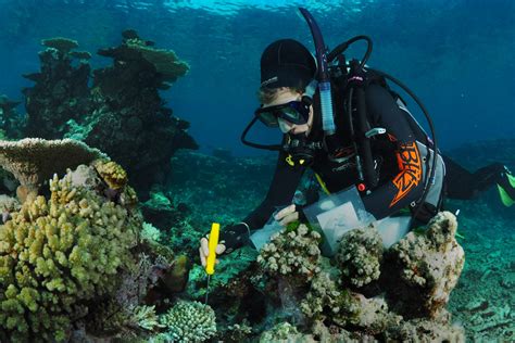 New Technologies Can Help Preserve Coral Reefs Aims