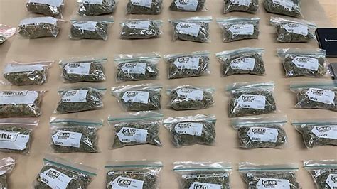 man-arrested-after-$24,000-of-cannabis-seized-in-queenstown-raid