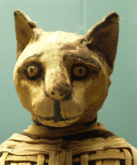 Ancient Mummified Fetus Found In Tiny Egyptian Sarcophagus Democratic Underground