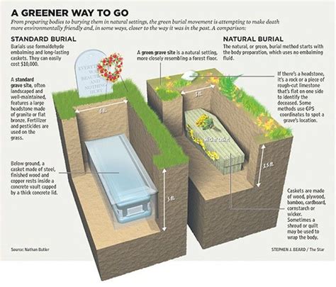 Environment A Greener Way To Die Science And Technology