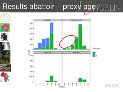 proxycroxy