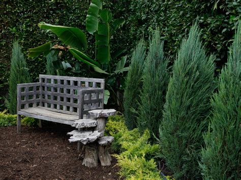 Jamie paul durie oam is an australian horticulturalist and landscape designer, furniture designer, television host, television producer, and. Naked in the Garden with Jamie Durie