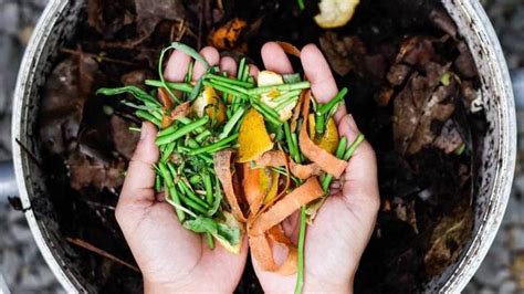 Maybe you would like to learn more about one of these? Mengelola Secara Bijak Sampah Organik di Rumah - Lifestyle ...
