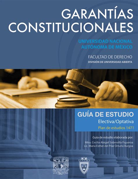 Garantías Constitucionales Facultad De Derecho