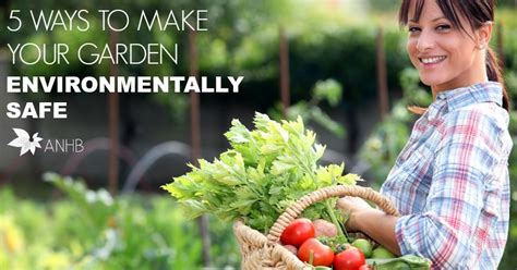 5 Ways To Make Your Garden Environmentally Friendly Updated For 2018
