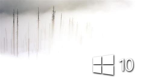 White Windows 10 In The Foam Frozen Wallpaper Wallpaper Download 1366x768