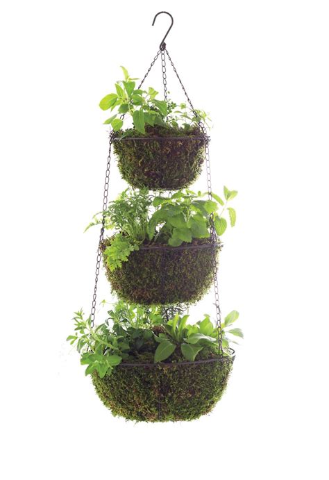 Three Tier Hanging Herb Planter Garden Therapy