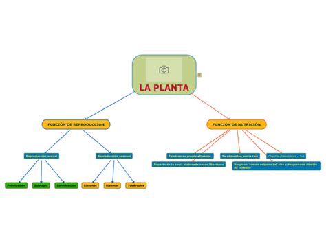 La Planta Mind Map