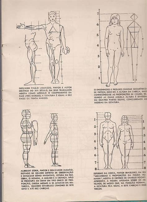 Facebook Anatomy Sketches Human Anatomy Drawing Drawing Body