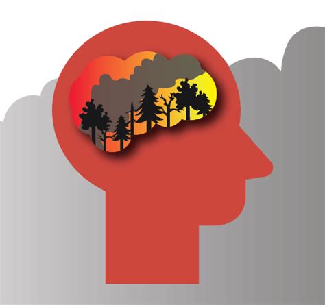 10 Interesting Facts About Wildfires Wfca