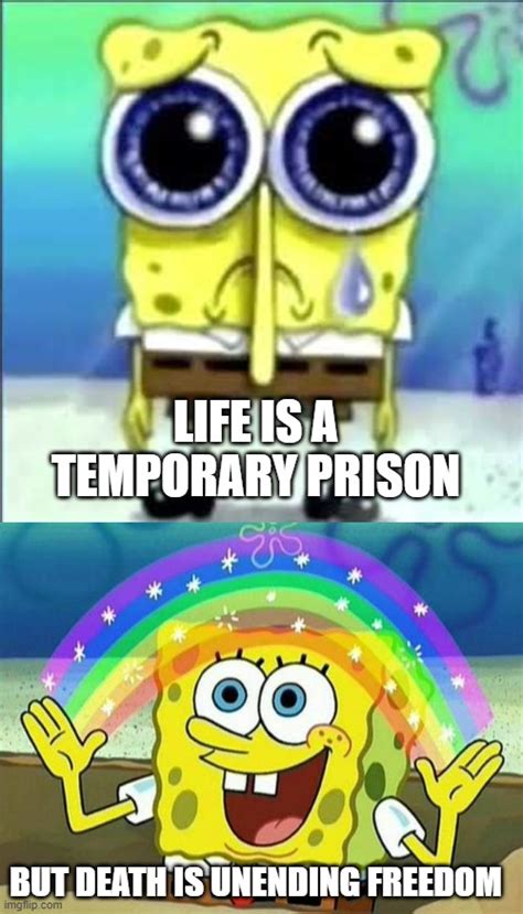Image Tagged In Sad Spongebobspongebob Rainbow Imgflip
