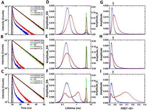 Fluorescence Lifetime Measurements On Mismatched And Matched Dna