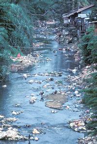 Of all the pollution occurring nationwide, we find the more studies found out that rivers are one of the most common water sources that are being polluted. MY WATER, MALAYSIAN WATER: WATER POLLUTION IN MALAYSIA