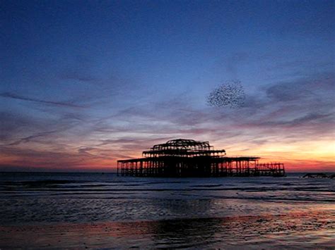 West Pier Starlings Brighton So My First Video Uploaded Flickr