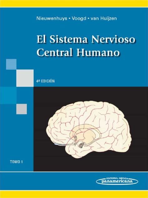 Sistema Nervioso Central Humano Seonegativo Hot Sex Picture