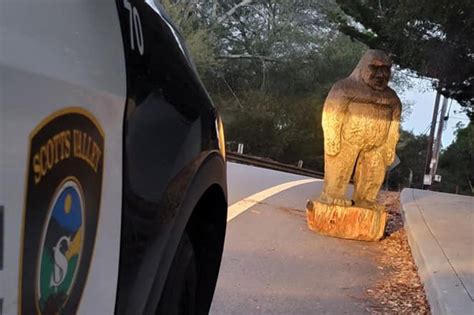 Bigfoot Spotted Along Roadside In Northern California Boing Boing