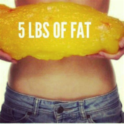 1 Pound Of Fat Vs Muscle Pictures And Facts Diet Database