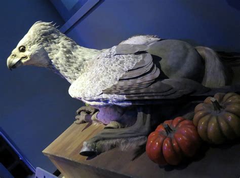 Buckbeak The Hippogriff Harry Potter By Sceptre63 On Deviantart