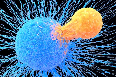Monster germ threat comes under the microscope