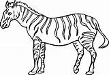 Zebra Coloring Printable sketch template