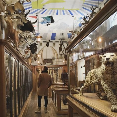 Musee De La Chasse Et De La Nature - Musée de la Chasse et de la Nature - Paris - (2018) Tout ce que tu as