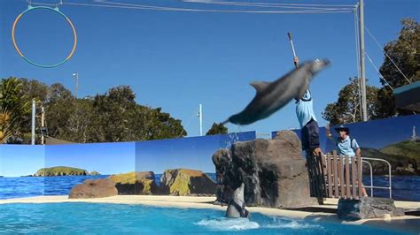 Dolphin Marine Magic And Pet Porpoise Pool In Coffs Harbour By