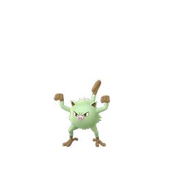 Many are arboreal, although there are. Mankey | Pokemon Go Wiki | FANDOM powered by Wikia