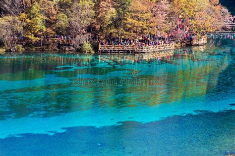 Five Flower Lake Is Lake In Jiuzhaigou Editorial Stock Image Image Of