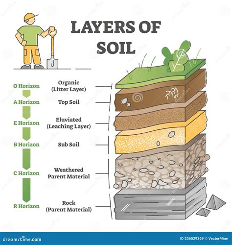 Layers Of Soil Diagram As Educational Labeled Earth Structure Outline