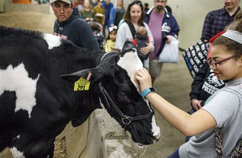 Pennsylvania Farm Show 2019 A Celebration Of Agriculture Set To Open