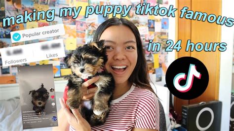 Making My Puppy Tiktok Famous In 24 Hours Youtube