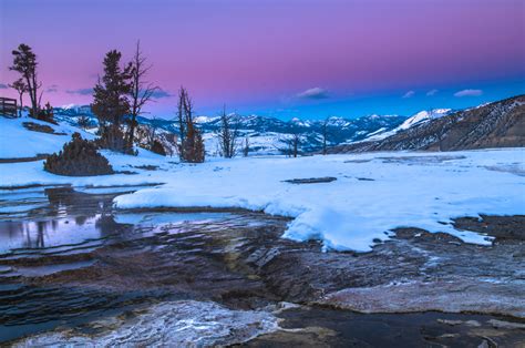 Yellowstone Winter Wonderland By Globus Tours North America