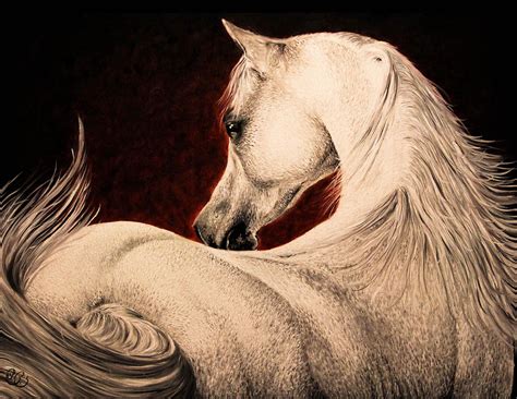 Arabian Horse Painting By Mai Magdy Fine Art America