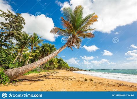 Hurricane irma was an extremely powerful cape verde hurricane that caused widespread destruction across its path in september 2017. Exotische Carribean Kust Van Het Strand Van Puerto Rico ...
