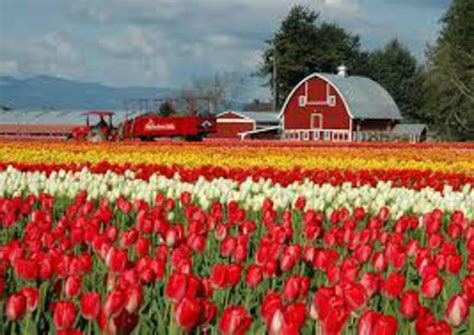 You can see how to get to hart's floral on our website. Different kind of farming - Yesterday's Tractors