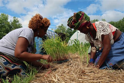 Black Farmers Are Embracing Climate Resilient Farming Civil Eats
