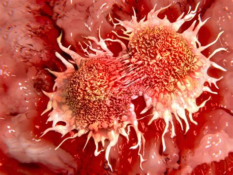 Cancer Cells Eat Themselves to Survive Life-Threatening Damage