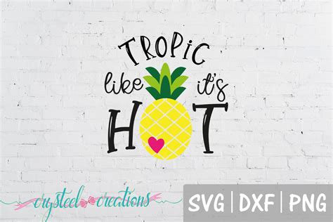 Tropic Like It S Hot Svg Dxf Png 101526 Cut Files Design Bundles