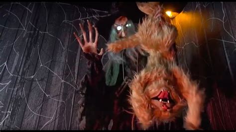 Cauldron Cat-Tastrophe Witch Animated Halloween Prop (MR124457) - YouTube