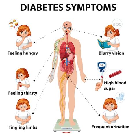 Infogr Fico De Informa Es De Sintomas De Diabetes Vetor Gr Tis