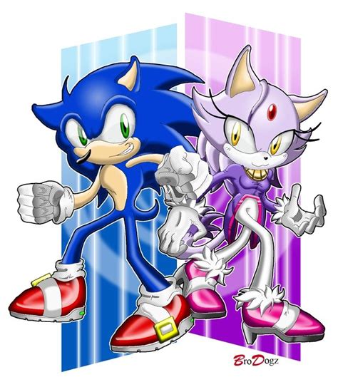 Sonic And Blaze Ready For Round Three By Brodogz On Deviantart