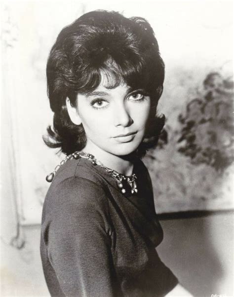 Glamorous Photos Of Suzanne Pleshette In The S Vintage